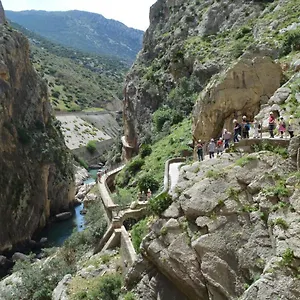 Trinidad Grund Ardales